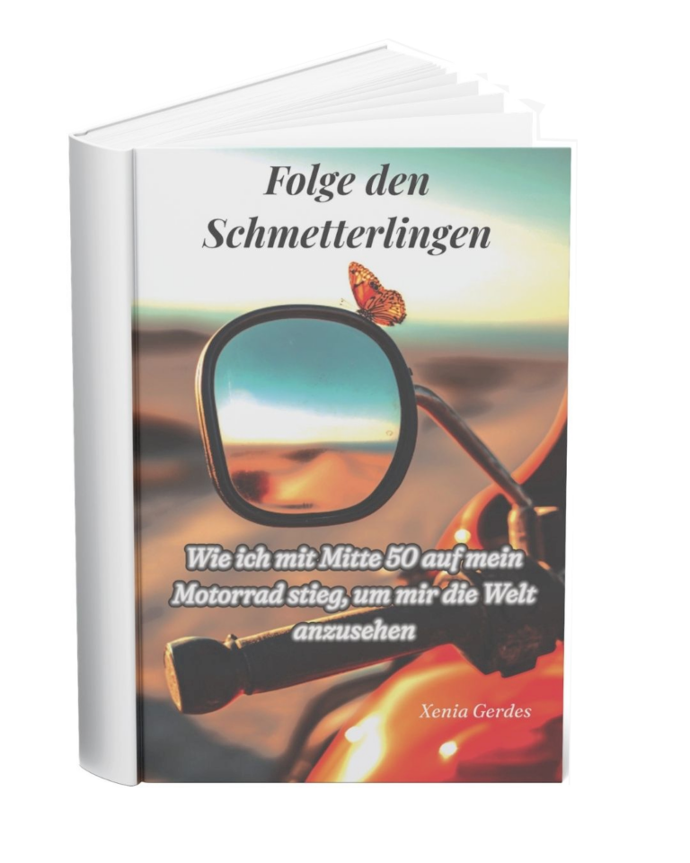 Folge den Schmetterlingen - Buchcover